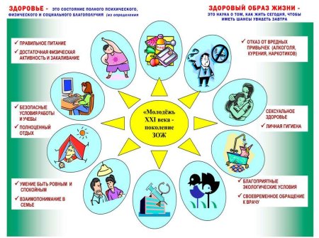 Ведение здорового образа жизни