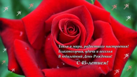45 Лет женщине поздравления
