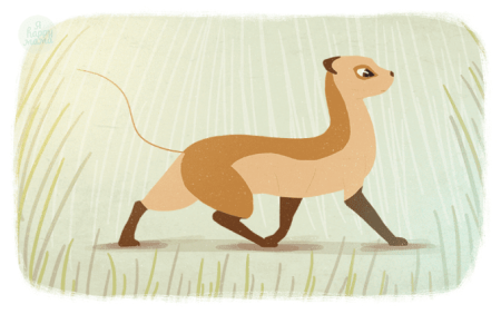 Мангуст Рики Тики Тави