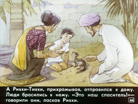 Рикки Тикки Тави иллюстрации к сказке