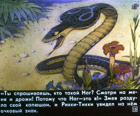 Враг Рикки Тикки Тави