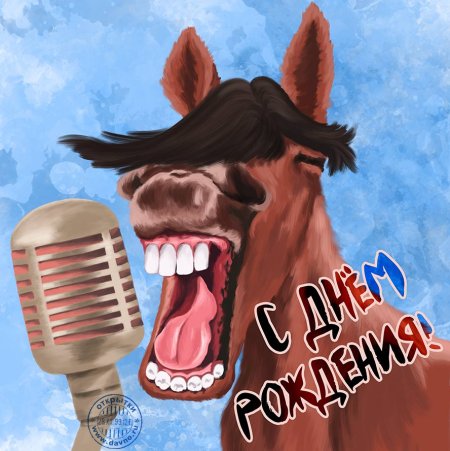 С днем рождения конь