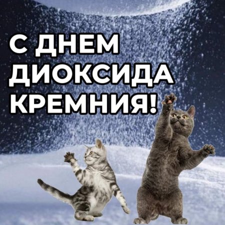 Праздники на каждый день мемы