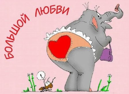 Открытки с приколами