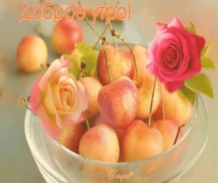 С добрым утром фрукты