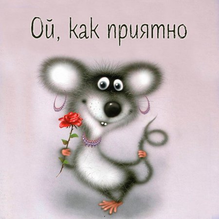 День рождения мышонка