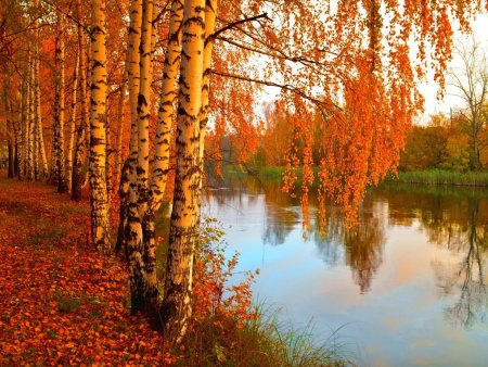 Золотая осень природа река