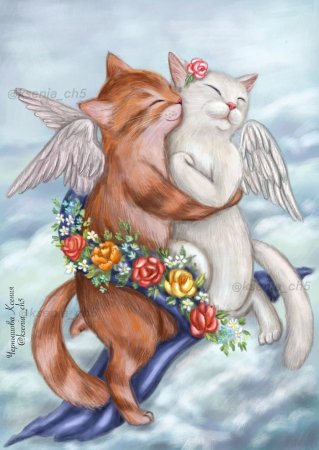 Котики Ксении Чернышовой