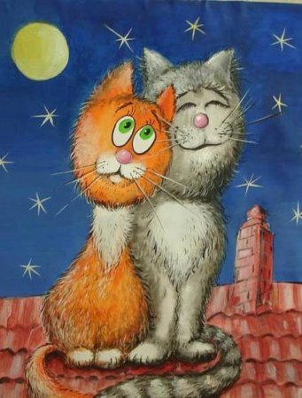 Влюбленные коты