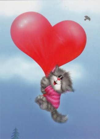 Котик с сердцем