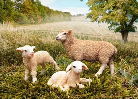 13744 Schleich ягненок