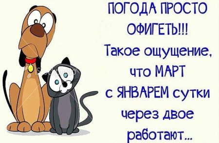 Открытки про погоду смешные