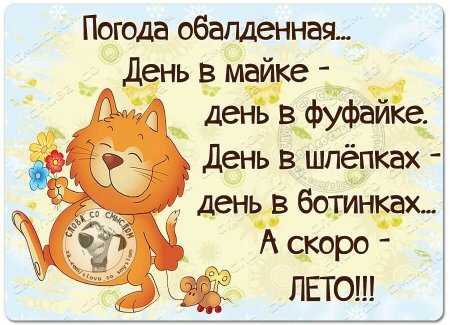 Статусы про погоду и настроение