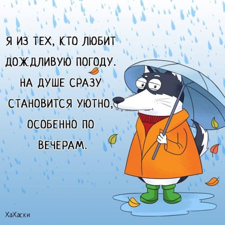 Смешные фразы про дождь