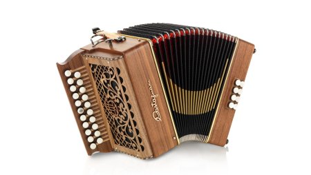 Гармонь музыкальный инструмент
