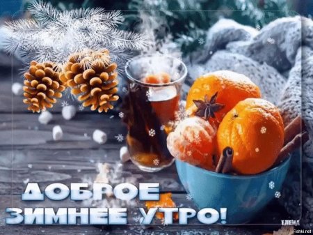 Доброе зимнее утро с мандаринами