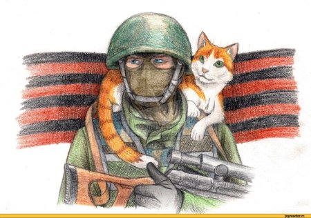 Кот военный арт