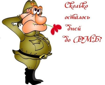 Прикольные солдаты на 23 февраля