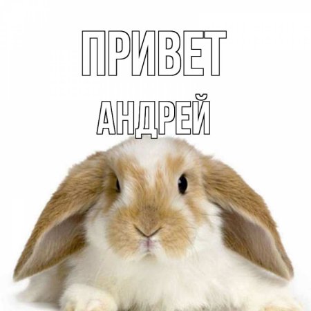 Привет Андрей открытки