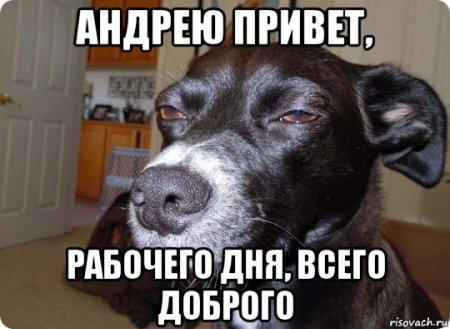Щенок Мем