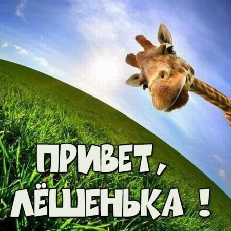 Саня привет