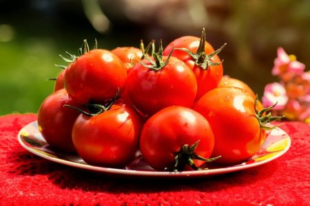 Сорт «Максеза» томат