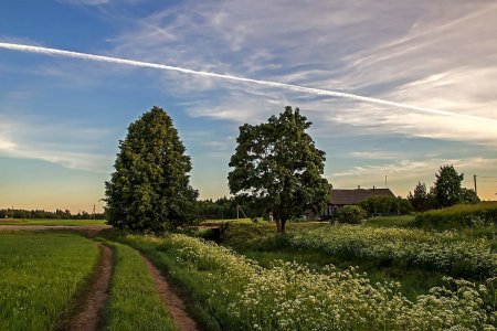 Белгород природа деревня