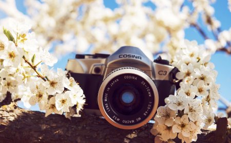 Фотоаппарат и цветы