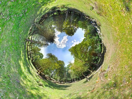 Круг в природе