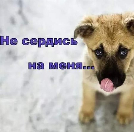 Не злись на меня
