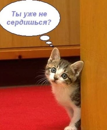Не сердись на меня
