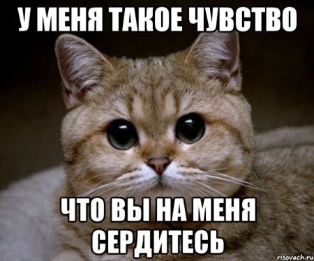 Не злись на меня пожалуйста