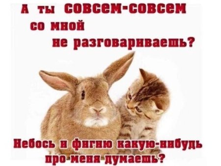 Открытка не обижайся мужчине