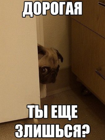 Ты ещё злишься