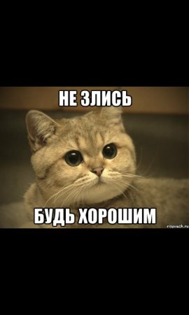 Не злись на меня