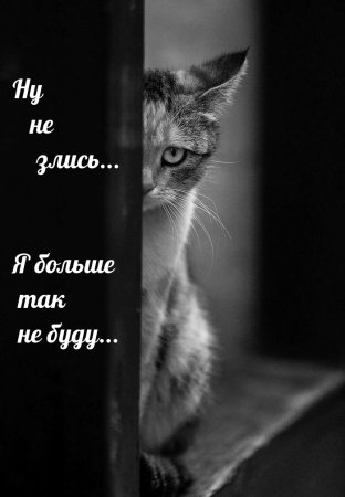 Не злись на меня