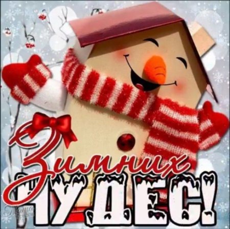 Зимние пожелания прикольные