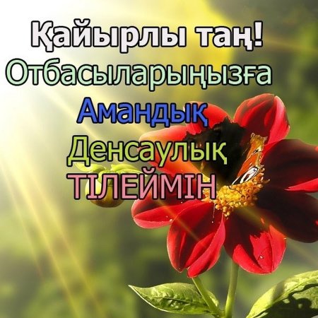 Кайырлы Тан открытки