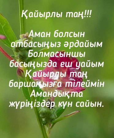 Қайырлы таң жексенбі картинки зимние красивые