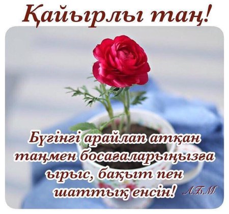 Қайырлы таң прикольные картинки