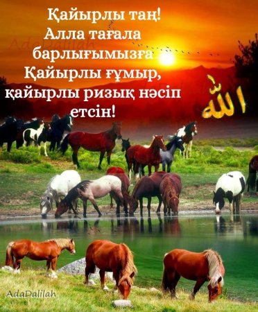 Кайырлы Тан казак Елим
