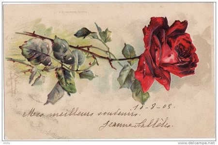 Старинные открытки цветы