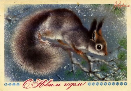 Алексей Исаков открытки