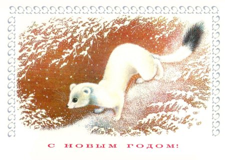 Художник анималист Исаков
