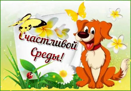 Замечательной среды