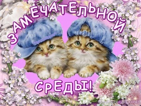 Открытки со средой