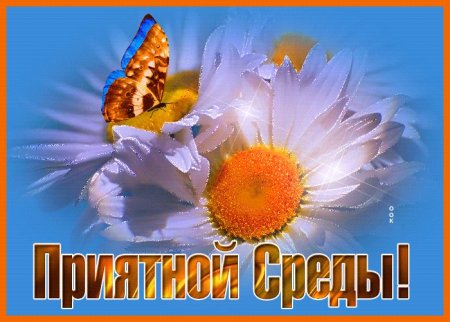 Открытка приятной среды