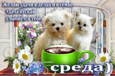 Доброе утро среды пожелания