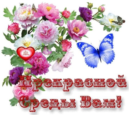 Прекрасной среды