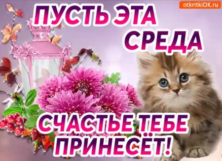 Красивые поздравления со средой